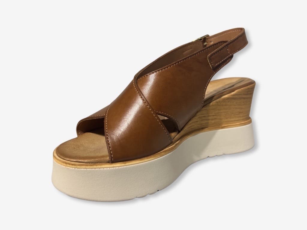 D'Ordia Wedge 2227