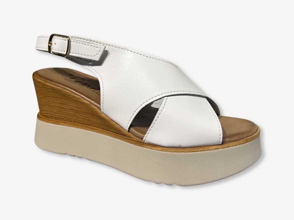 D'Ordia Wedge 2227